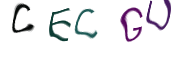 Captcha Image: you will need to recognize the text in it.