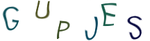 Captcha Image: you will need to recognize the text in it.