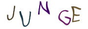 Captcha Image: you will need to recognize the text in it.